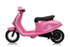 SX2438pink