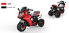 NEL-R1300GS