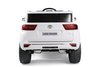 TamcoLC-300 white